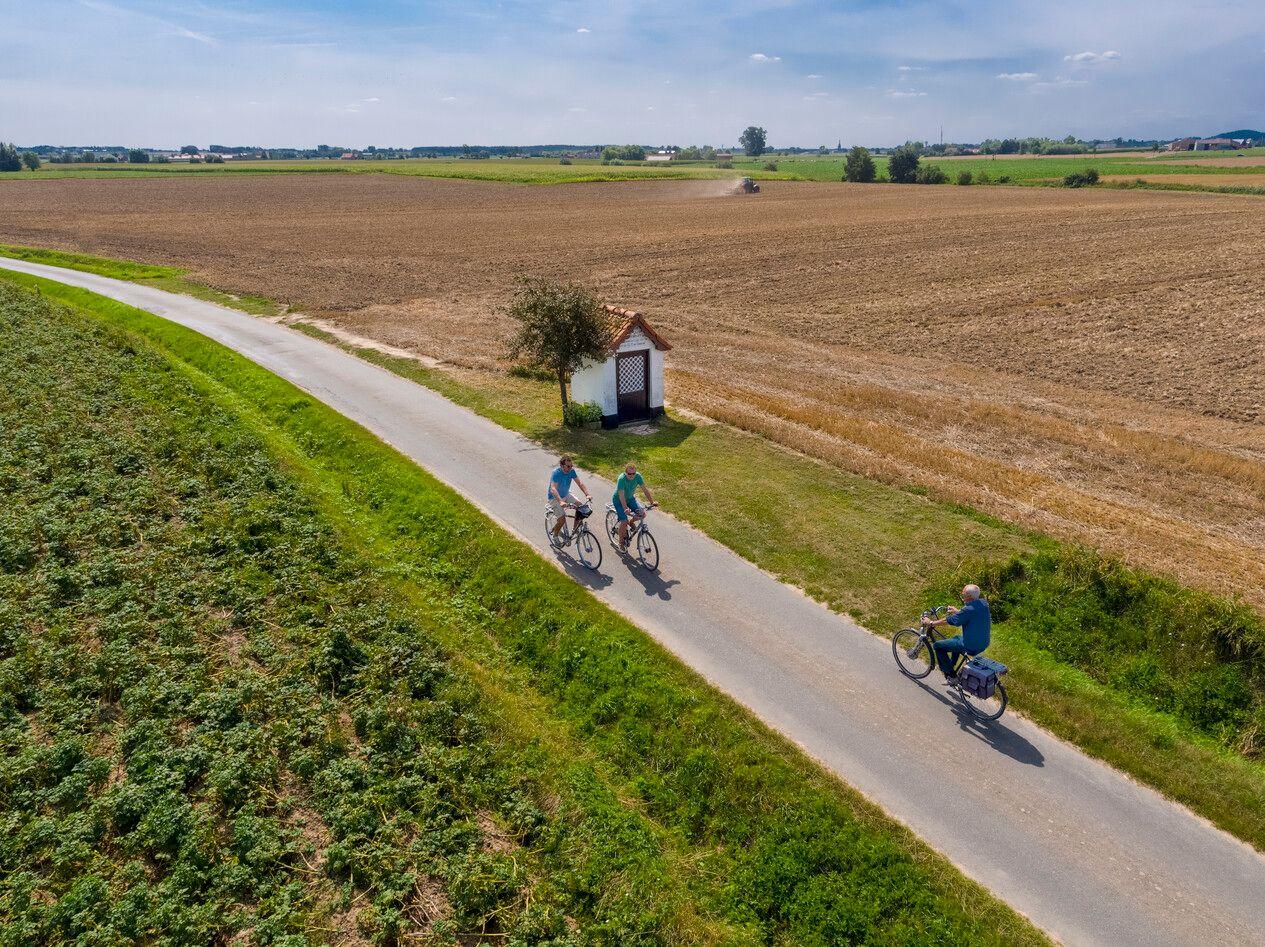 Met Jaek en Nink door de hoppevelden - start Poperinge