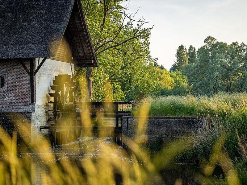 Watermolenpad Minderhout