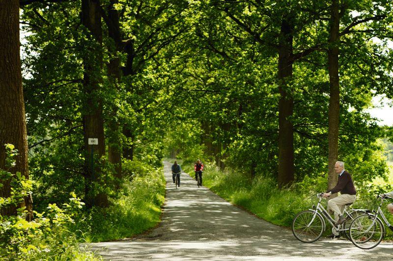 Bulskampveldfietsroute