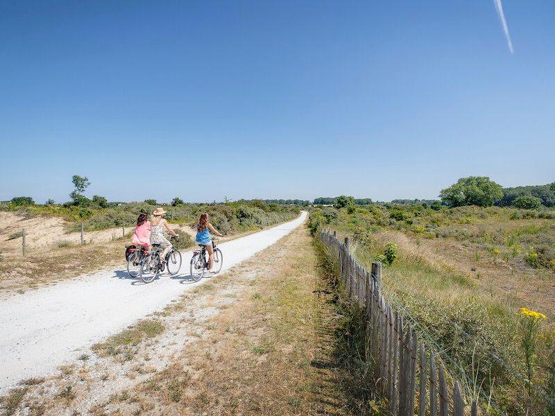 Fietsroute in De Panne, Koksijde, Veurne en Alveringem