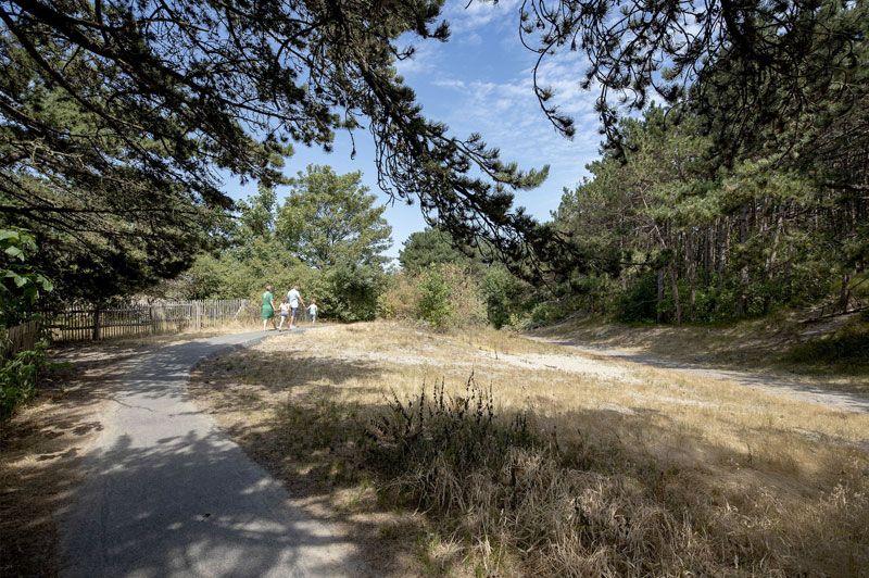 Duinbossen wandelroute