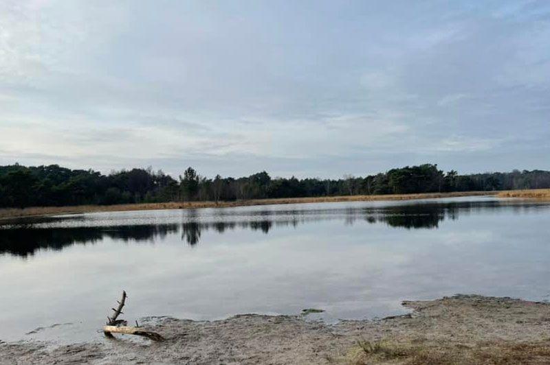 Grenspark Kalmthoutse Heide