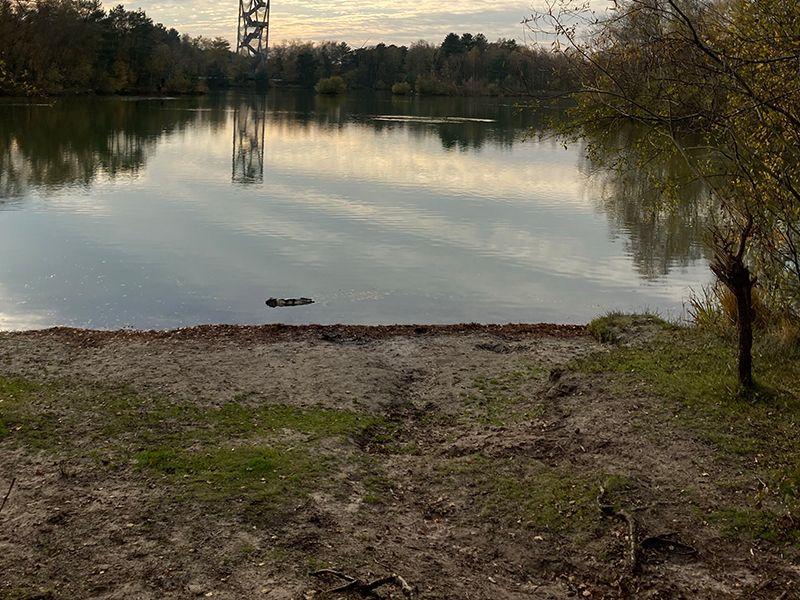 Heuvelse Heide rood