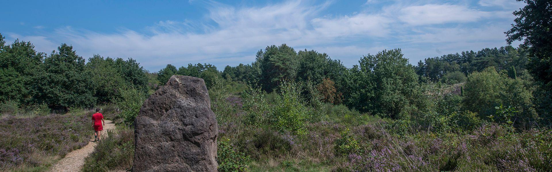 Heuvelse Heide