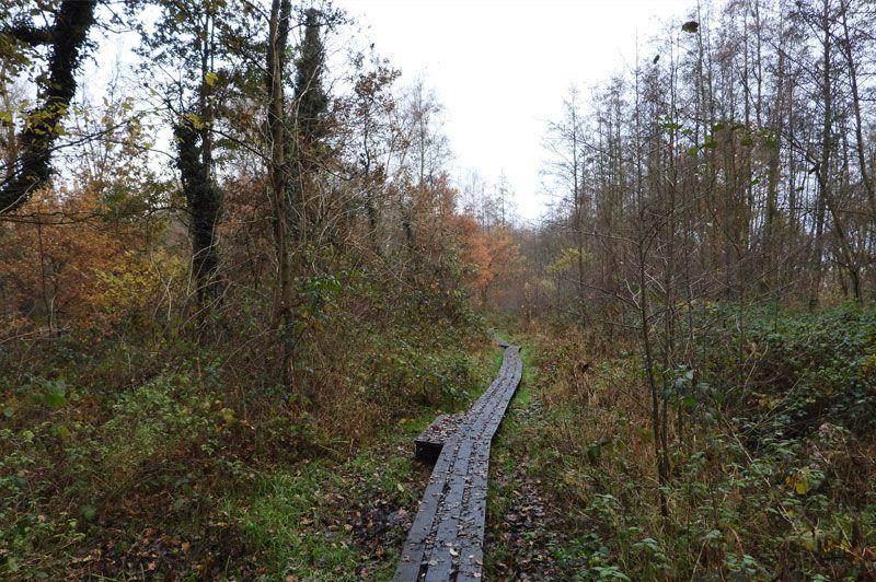 Hoksent-Molhem - Geel (Dommeldalroute)