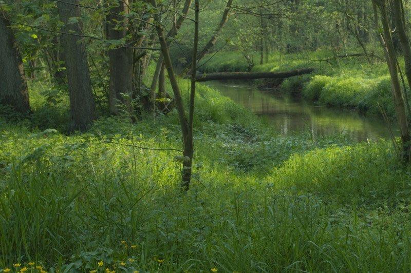 Hoksent-Molhem (Dommeldalroute) - Groen