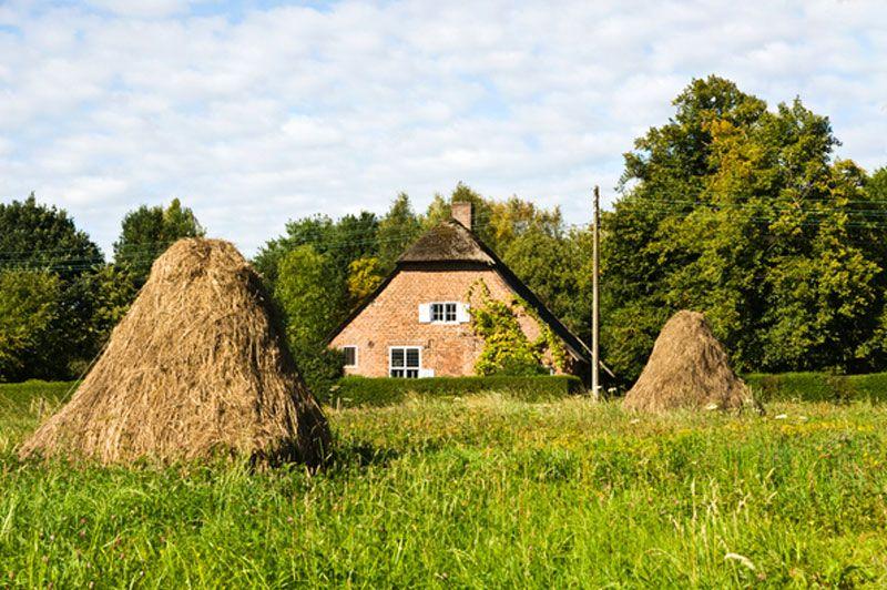 Hoksent-Molhem - Rood (Kempen in volle glorie)