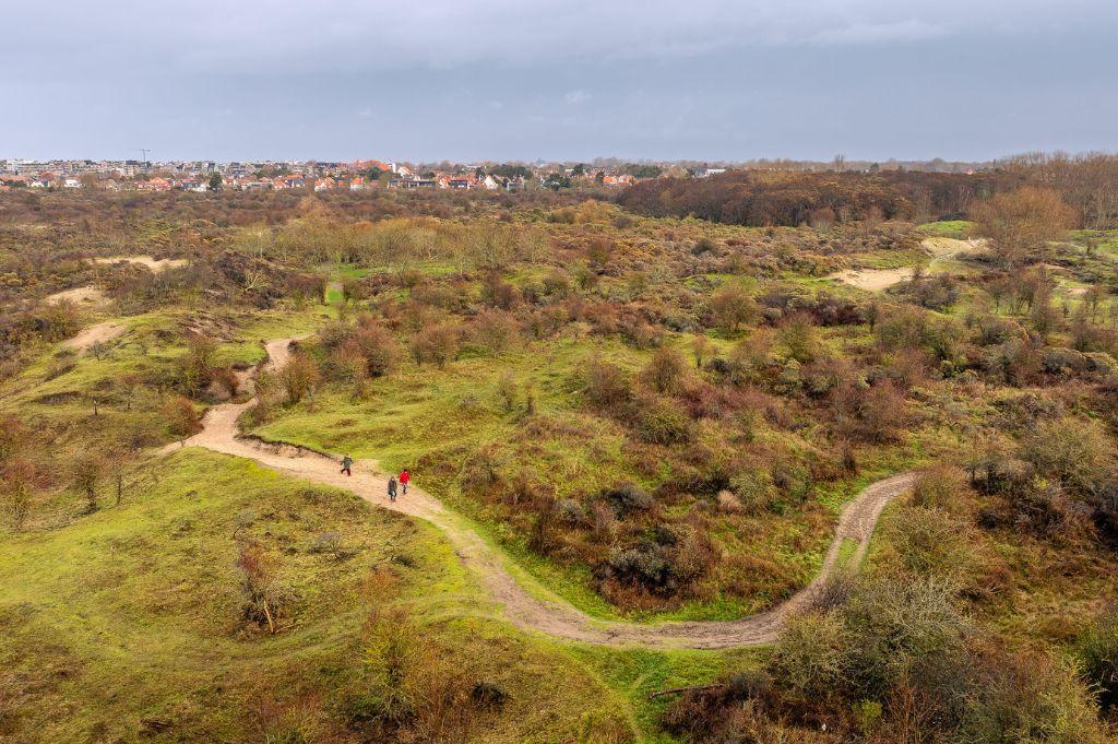 Houtsaegerduinen