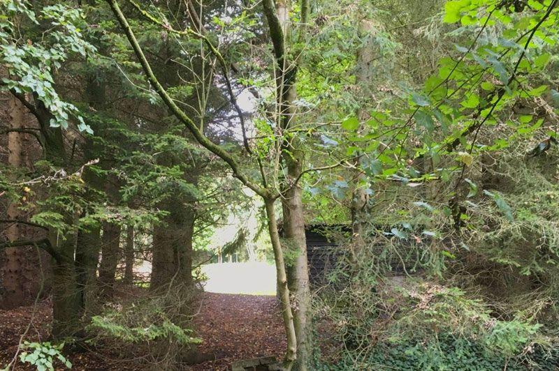 Natuurpad Lovenhoek
