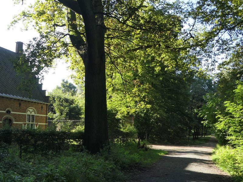 De Renesse - Salphenpad