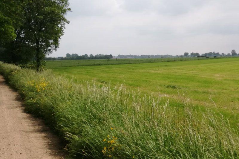 Steenbakkerspad