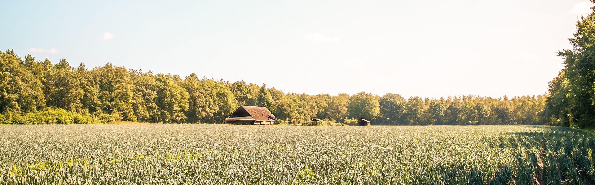 Gezond wandelen