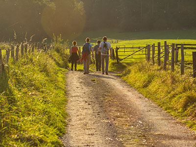 Welk eten neem je mee tijdens een wandel- of fietstocht?