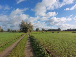VTT Rudy Dhaenens - MTB 47km