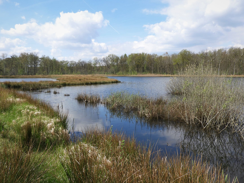 Fiets door het waterlandschap van De Wijers