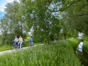 Groene Ronde Roeselare