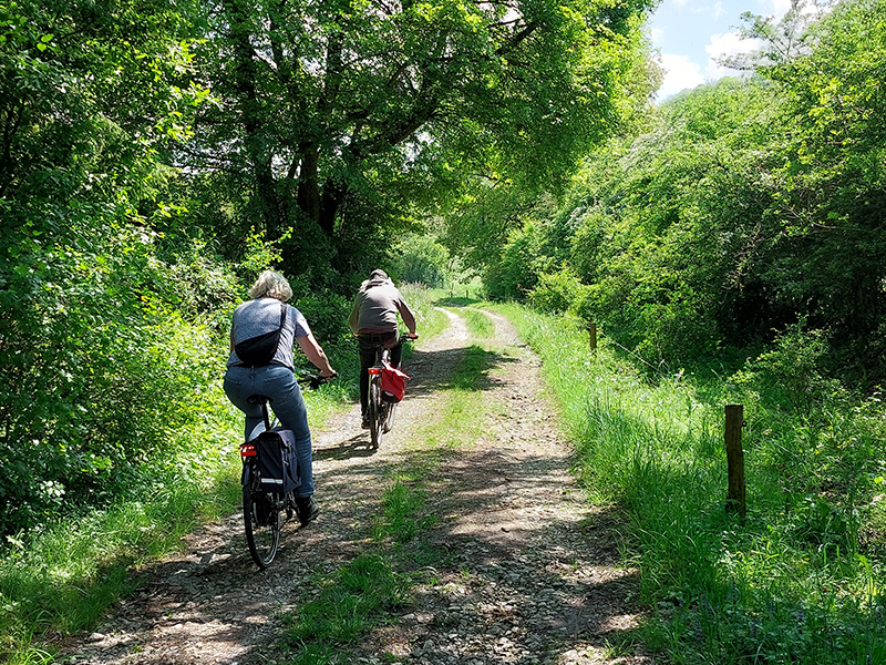 MTB rood Han-Sur-Lesse
