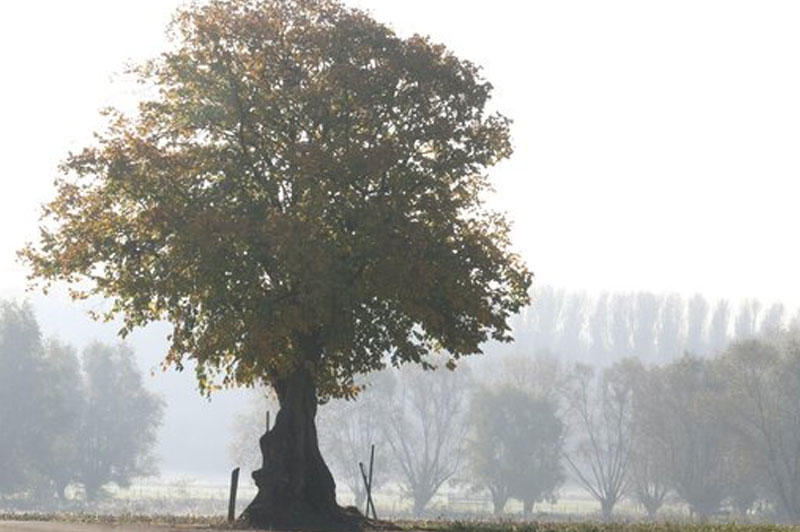 Rodeland fietsroute 2