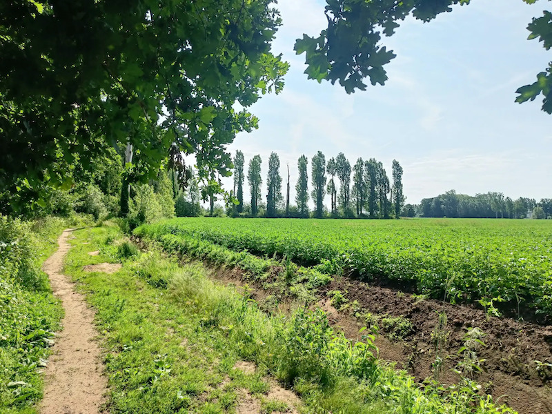 Van de Lembeekse bossen naar Oosteeklo 