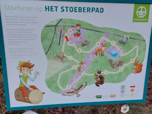 Stoeberpad in Oud-Turnhout