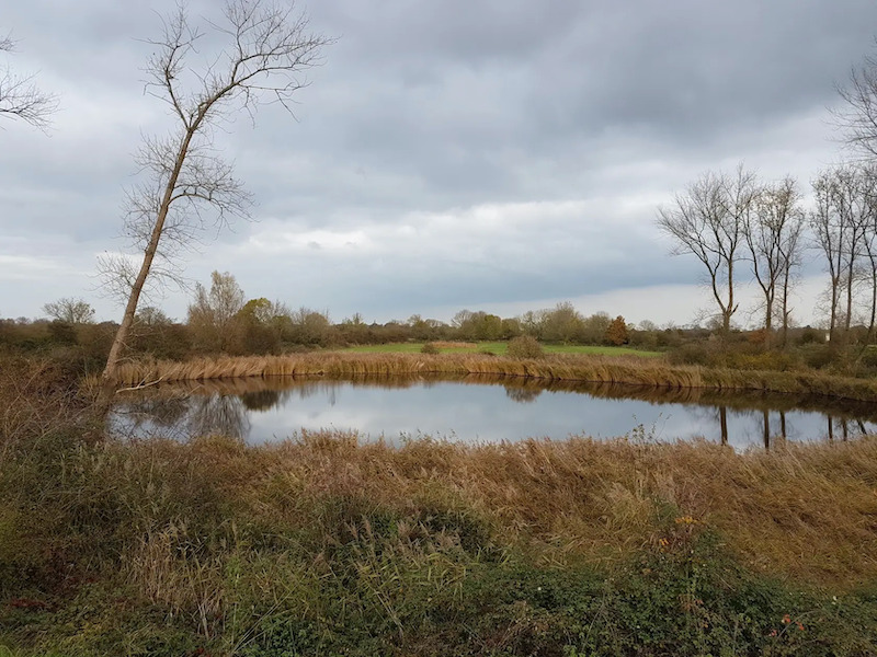 Over de bloemdijken, vlakbij Goes