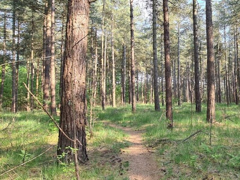 Breeven - korte route