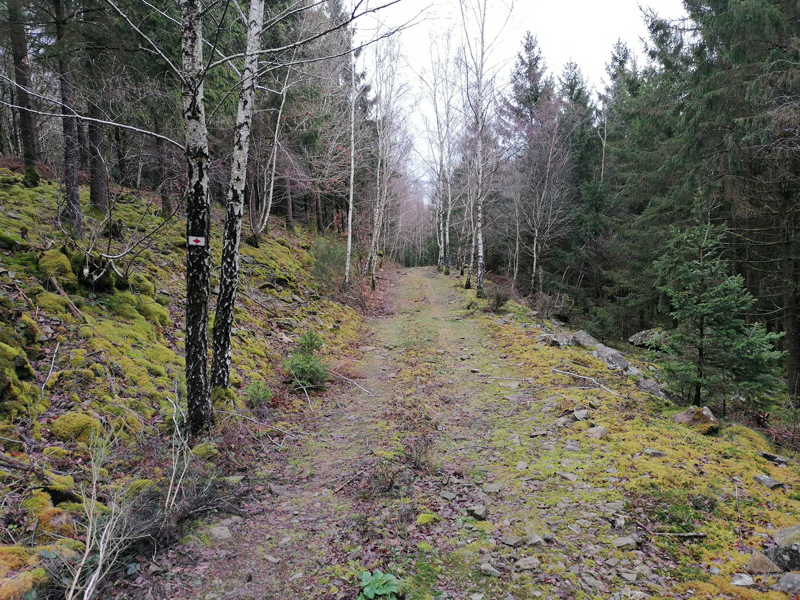 Wandeling van la Chevenys (NG11)