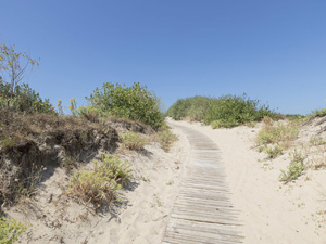 Wandelcombinatie duinen en strand in Koksijde