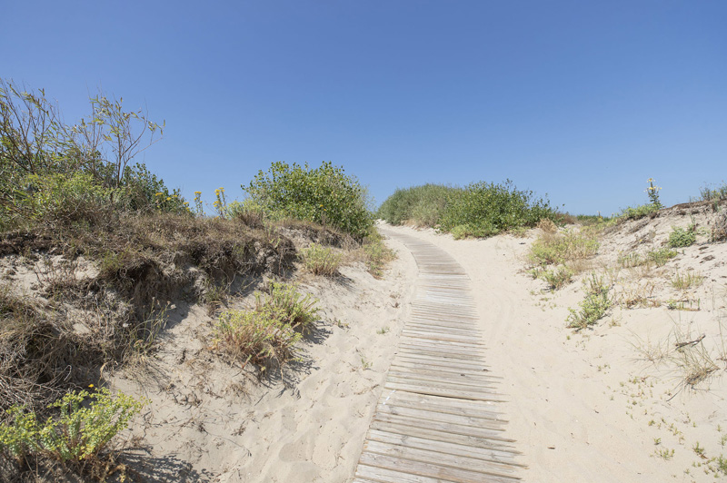 Wandelcombinatie duinen en strand in Koksijde-Oostduinkerke