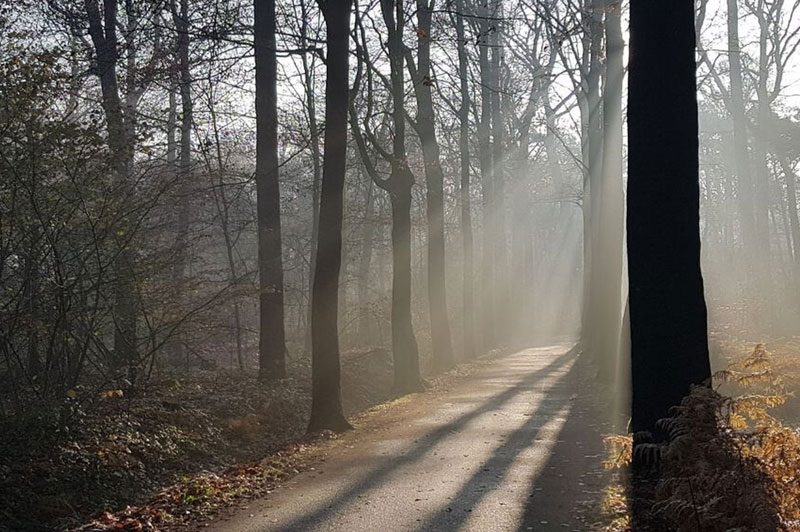 Een klein lusje in het Leen wandelroute