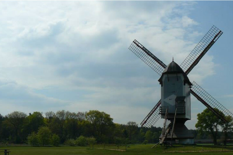 Kattenbos - Oranje (Kijkwandeling)