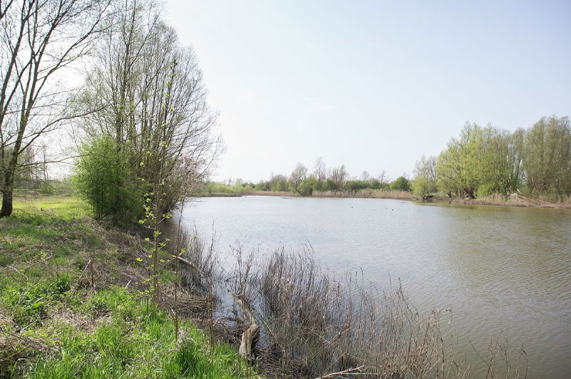 Kruibeekse Kreek Wandelroute