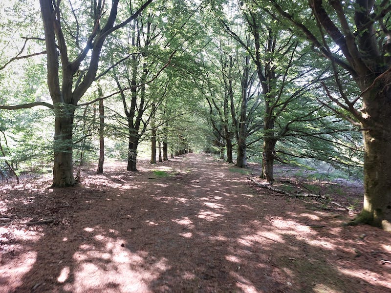 Pietersheim - La Butte aux Bois - Groen