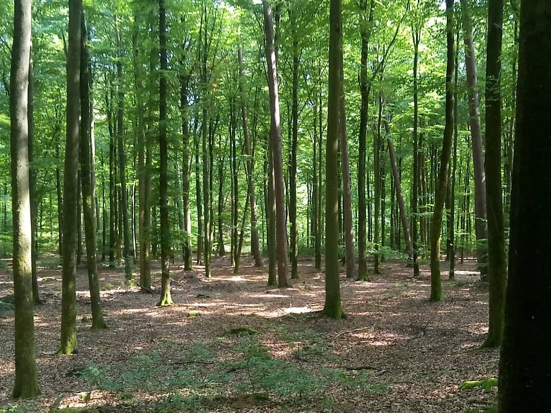 Wandeling langs de Legendarische Site van de Cui