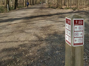 Lippelobos Wandelroute in Opdorp