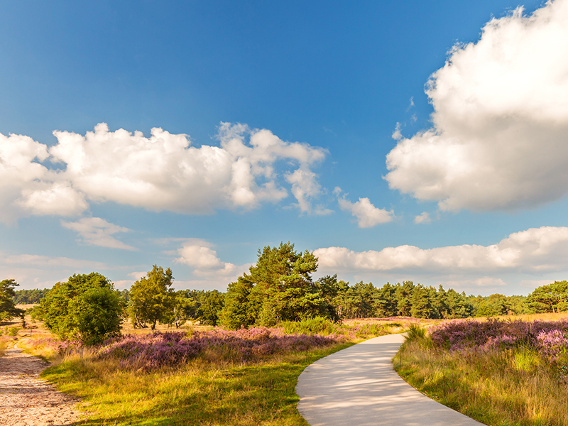 NS-wandeling Hierdense Poort