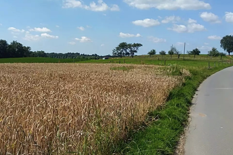 Wandelroutes in Sint-amands