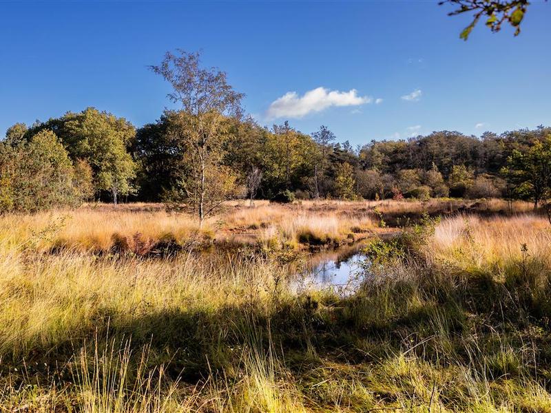 Tikkebroeken - natuurwandeling