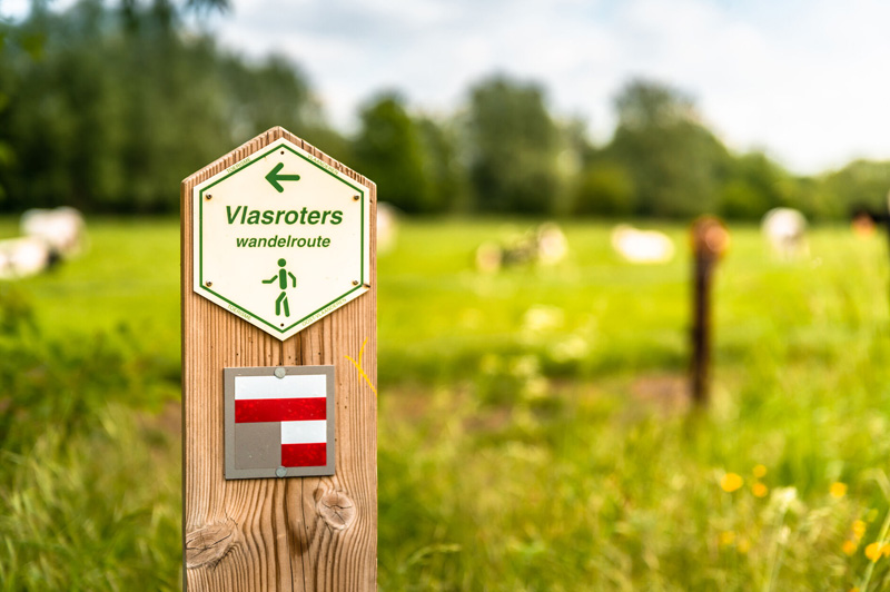 Vlasroters Wandelroute Lus 1
