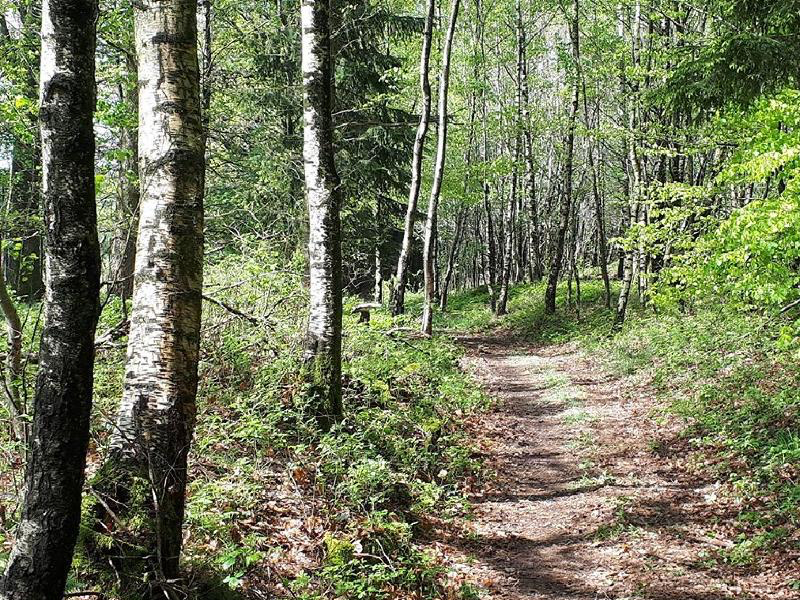 Wandeling van de Oude Wegen