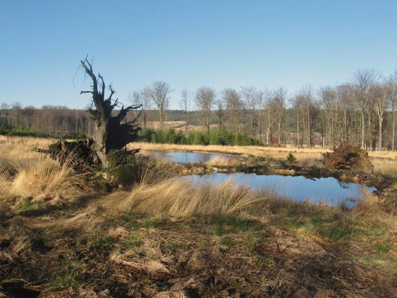 Wandeling van de Troufferies