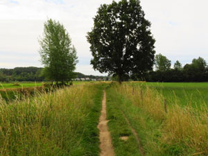 Zoet Waterwandeling