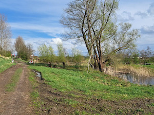 Zwaakse Weel 