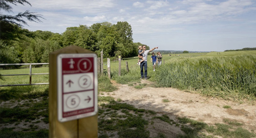 Wandelknooppunten